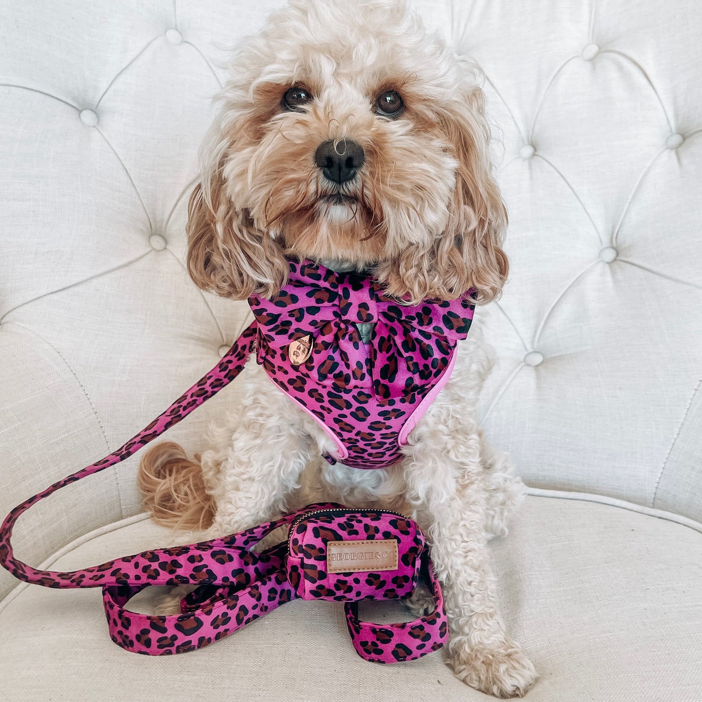 Georgie Luxury Pink/Purple Leopard Velvet Harness Set