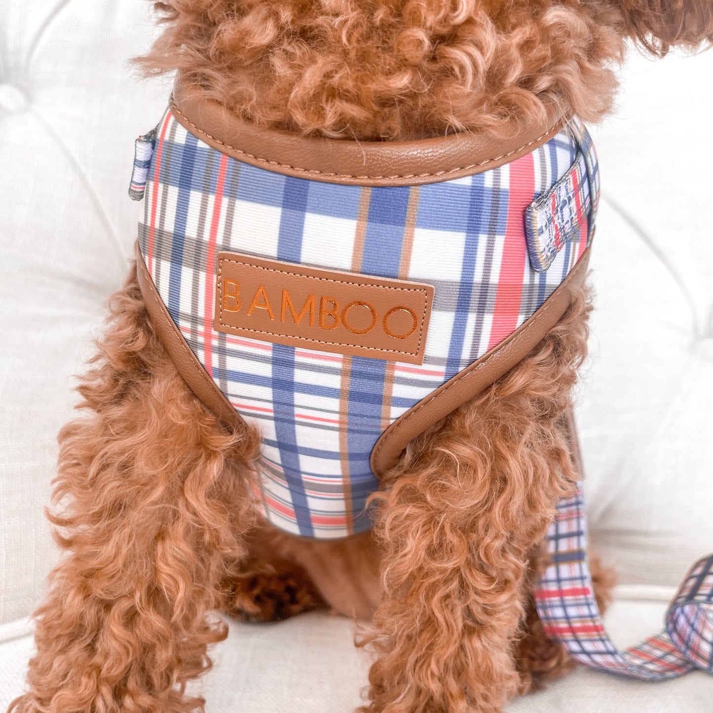 Azara Luxury Vegan Leather Harness