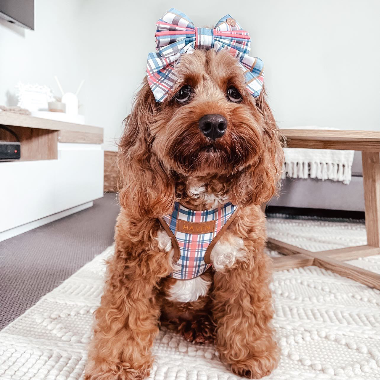 Azara Tartan Personalized Harness Set
