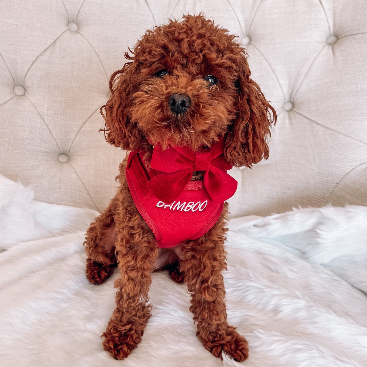 Addison Red Velvet Luxury Harness