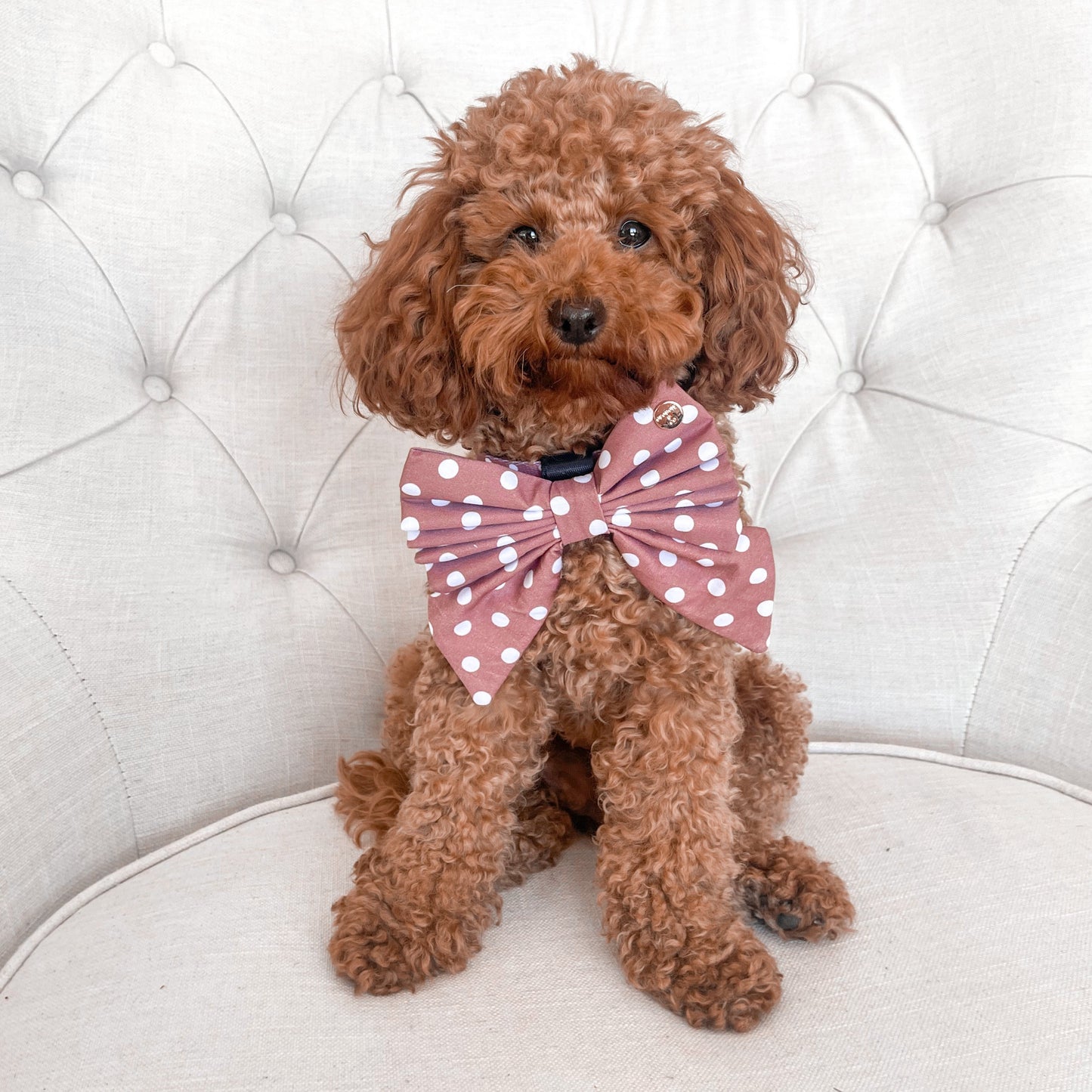 Brantley Polka Dot Sailor Bow