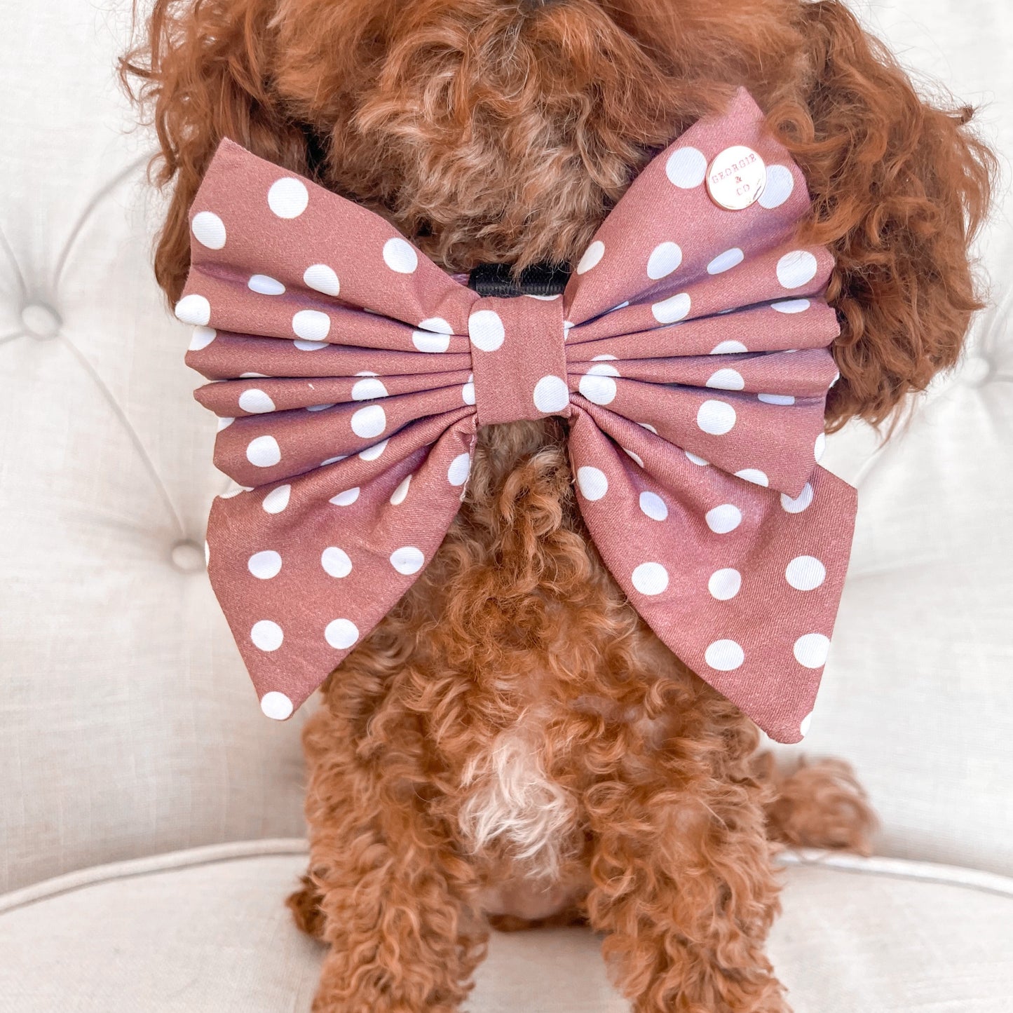 Brantley Polka Dot Sailor Bow