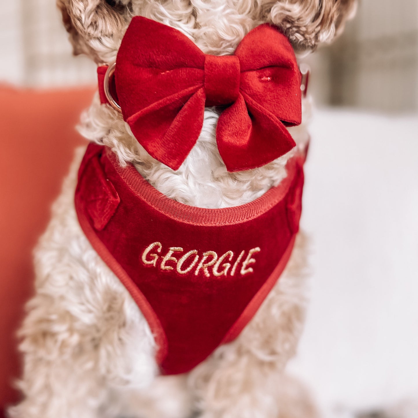 Addison Red Velvet Luxury Harness