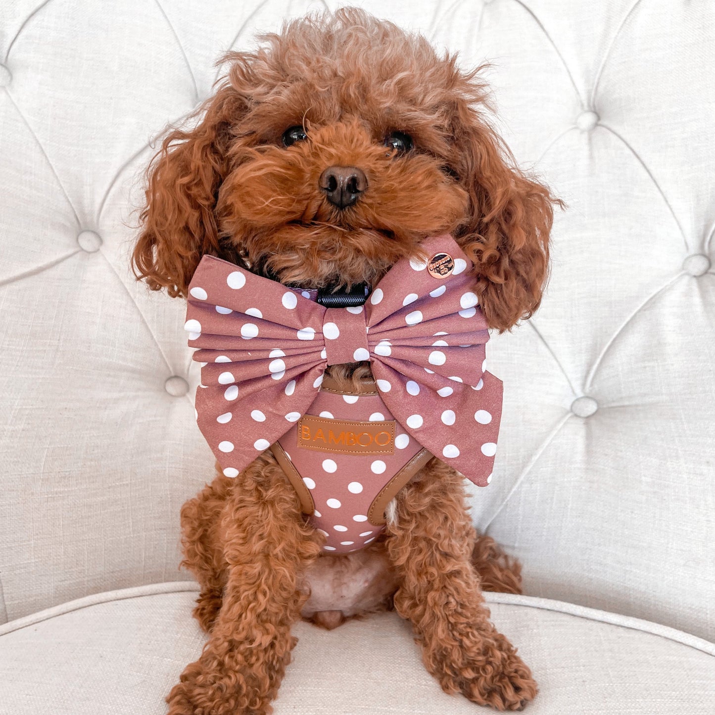 Brantley Polka Dot Personalized Harness Set