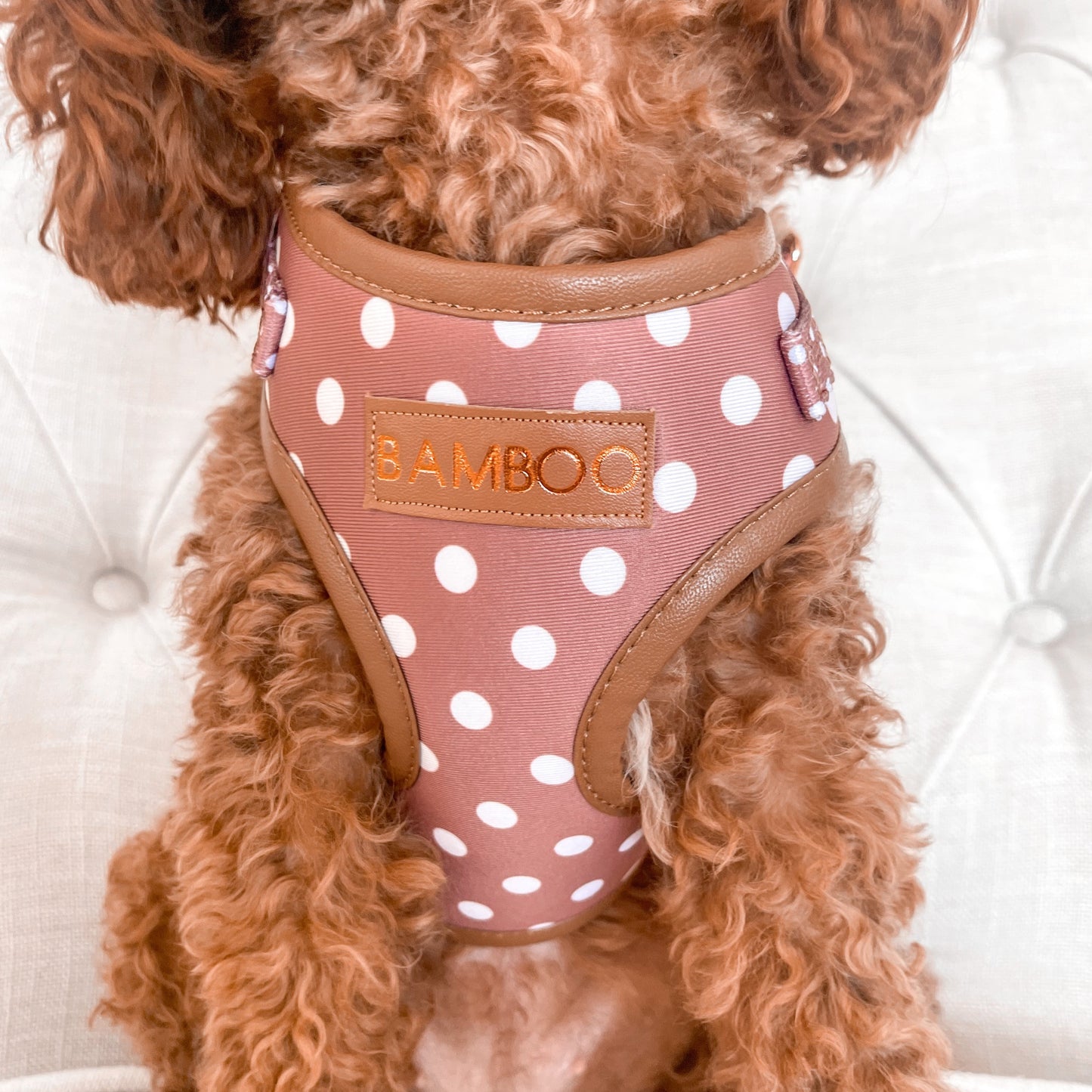Brantley Polka Dot Personalized Harness Set