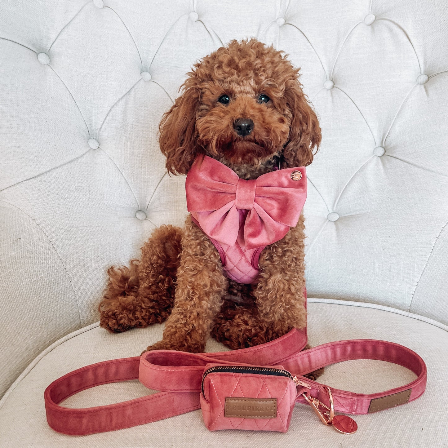Gigi Luxury Pink Velvet Harness Set