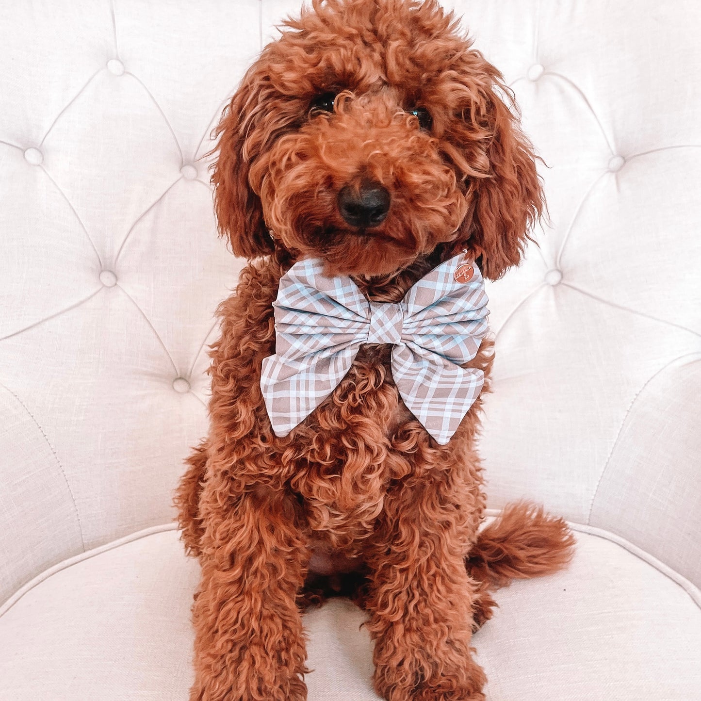 Arlo Tartan Sailor Bow