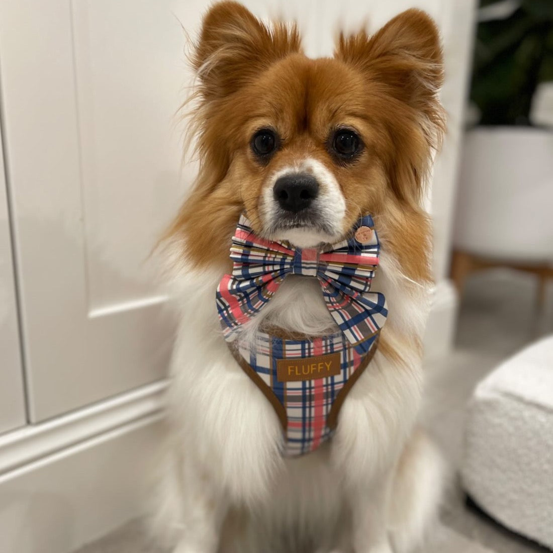 Azara Tartan Personalized Harness Set