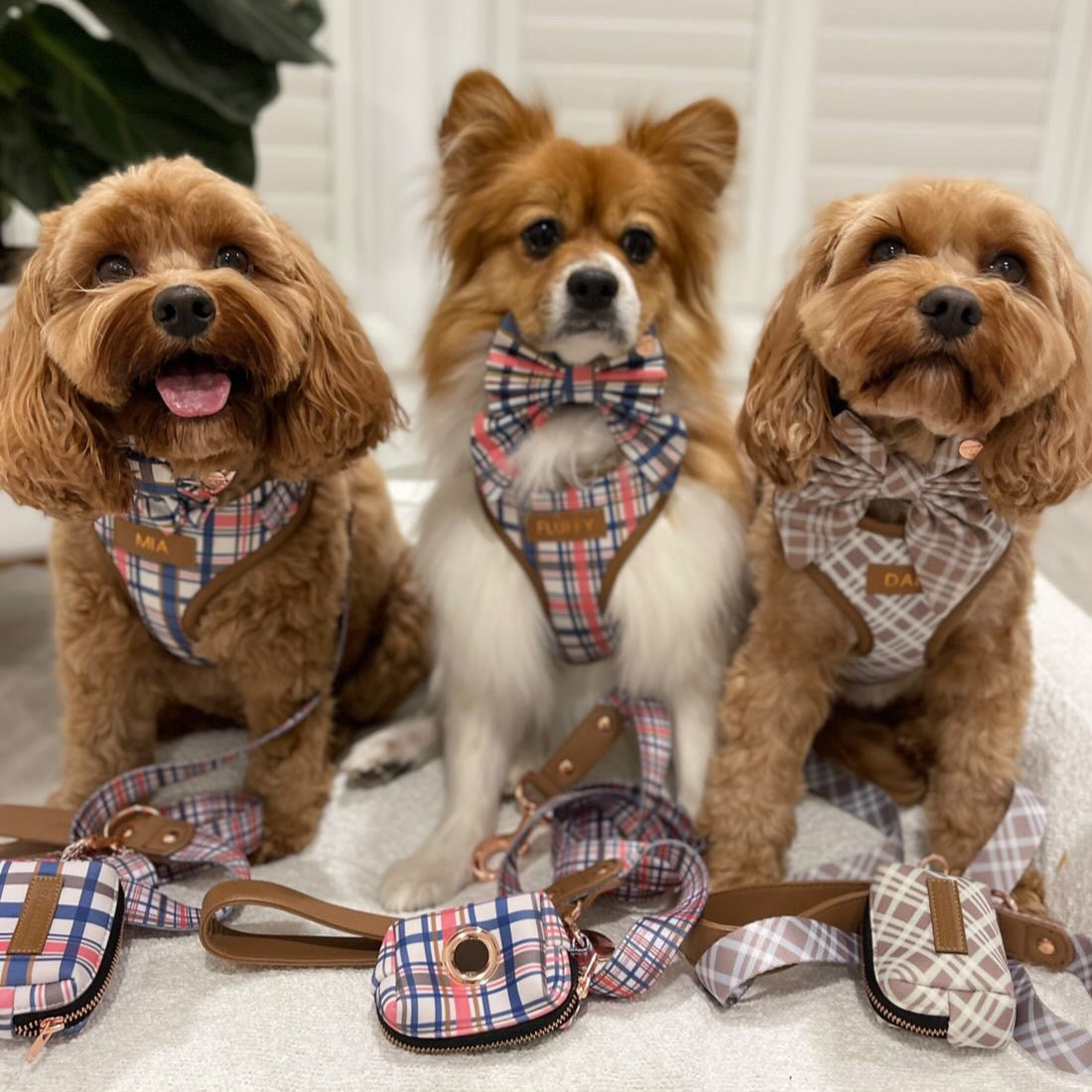 Azara Tartan Personalized Harness Set