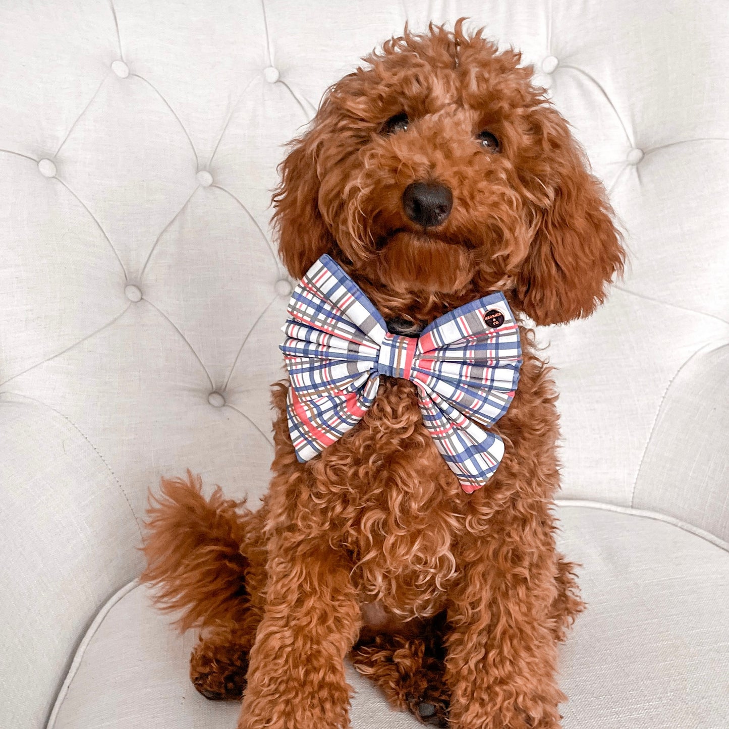 Azara Tartan Sailor Bow