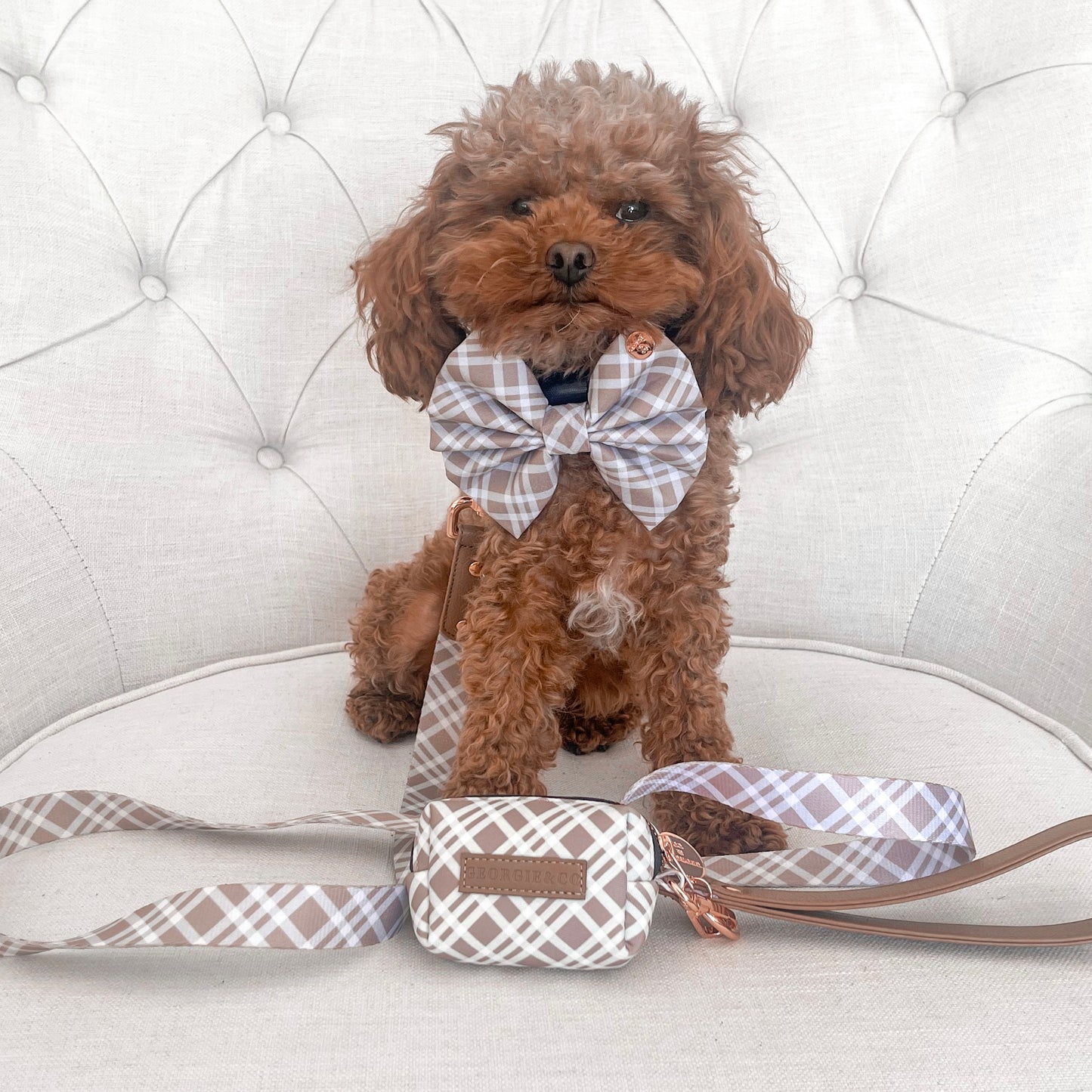 Arlo Tartan Collar Set