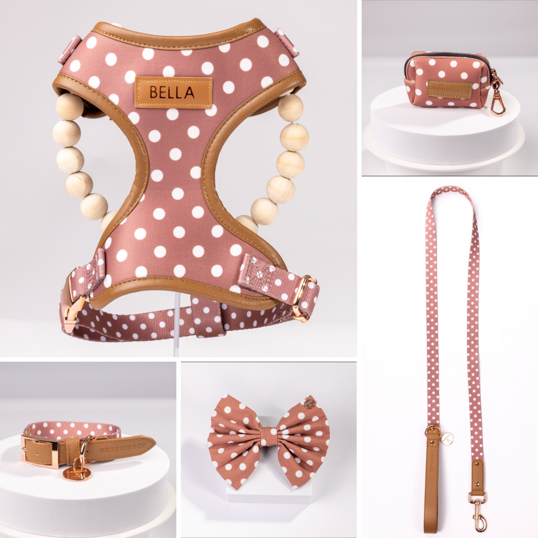 Brantley Polka Dot Personalized Harness Set