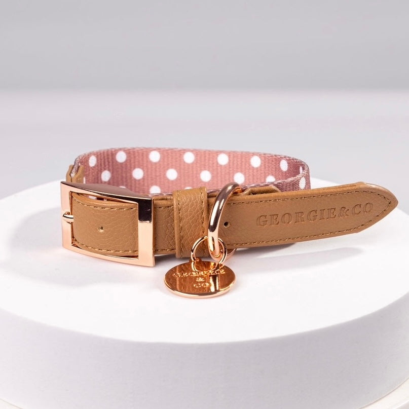 Brantley Polka Dot Luxury Collar