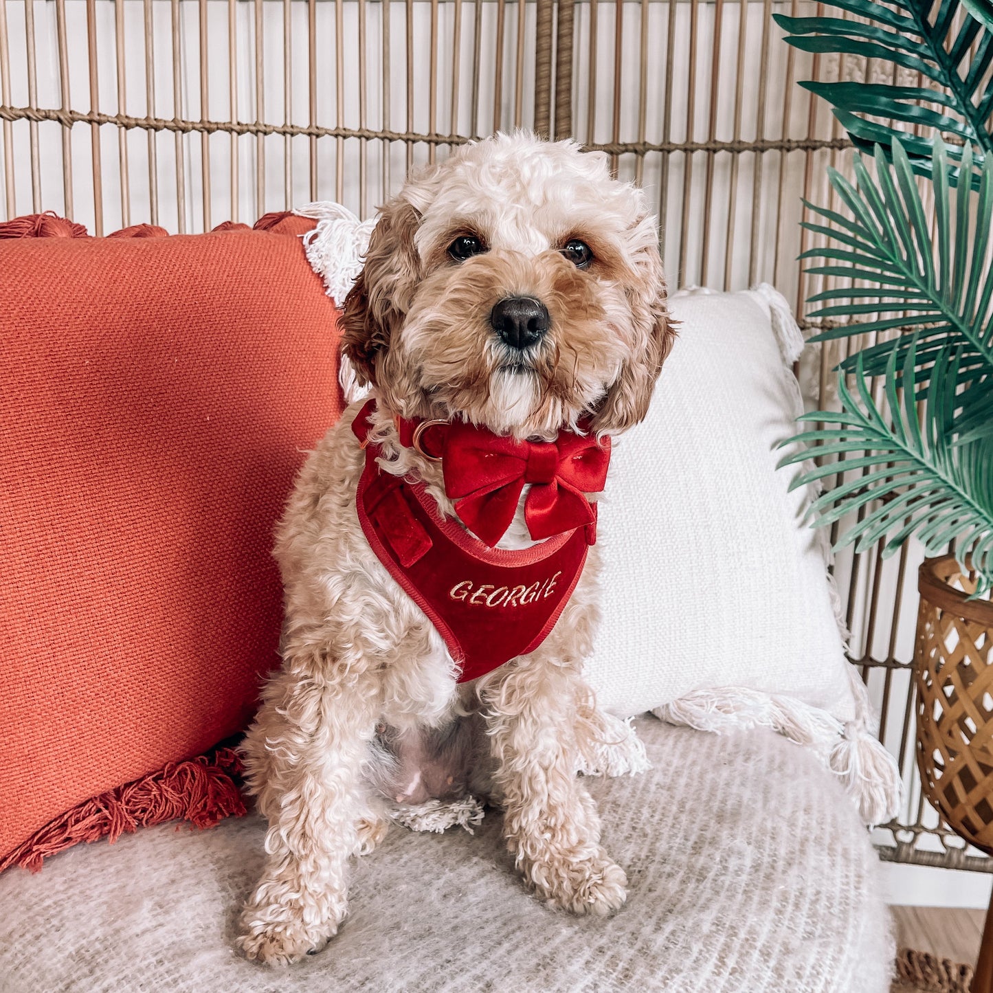 Addison Red Velvet Luxury Harness