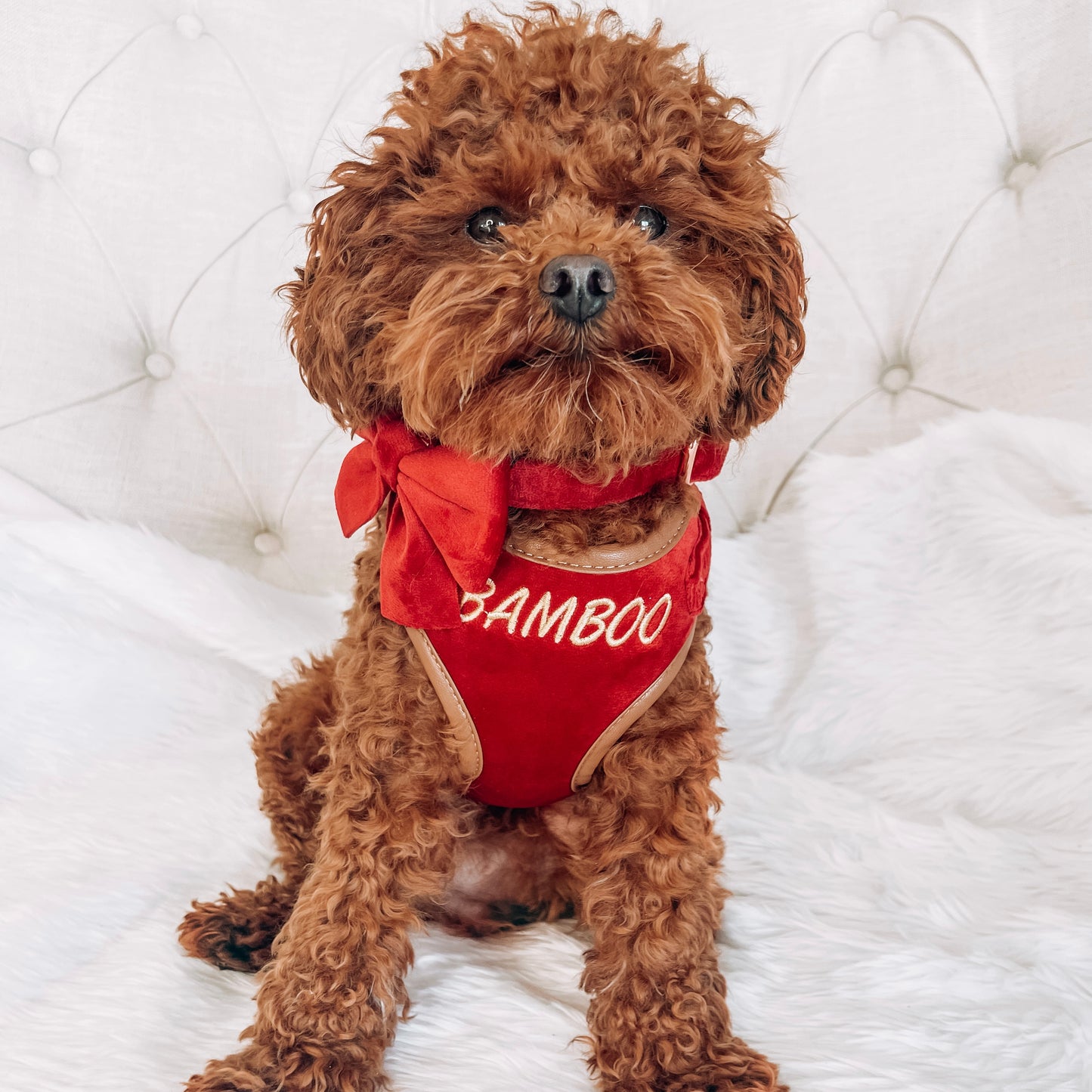 Sadie Velvet Red Luxury Harness with Brown Leather Trim