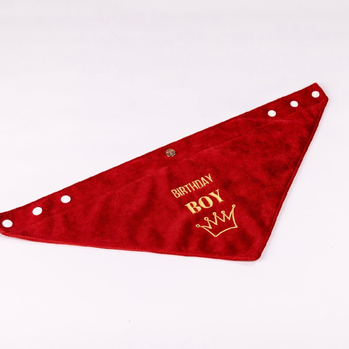 Sadie Birthday Boy Red Velvet Bandana