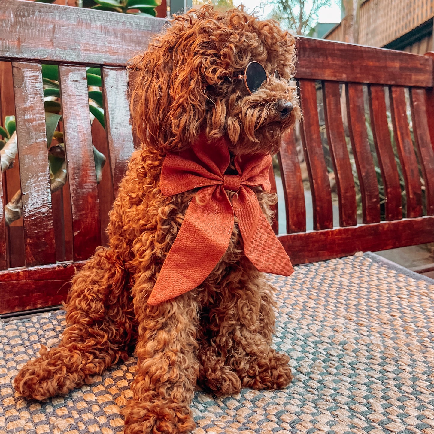 orange boho dog clothes