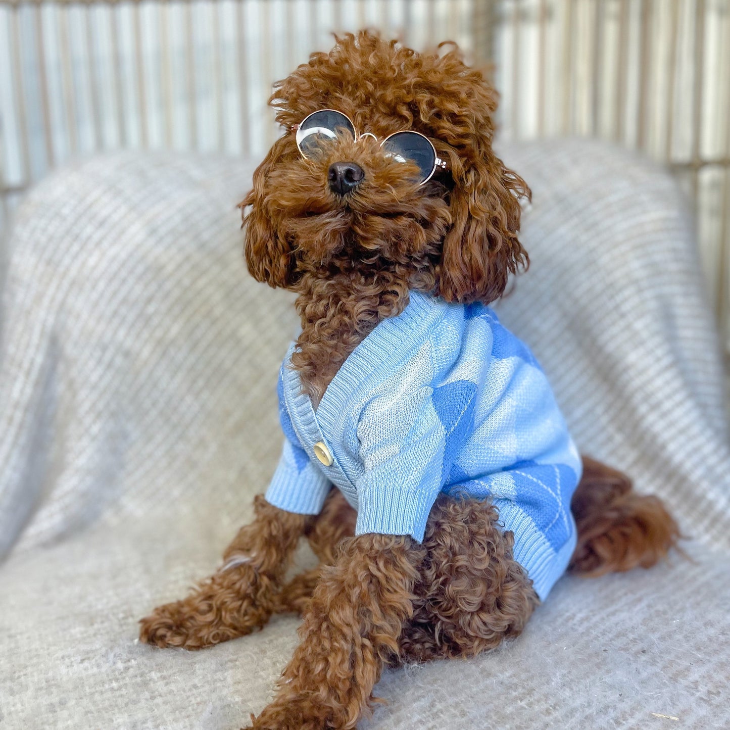 Archer Blue Personalised Dog Cardigan