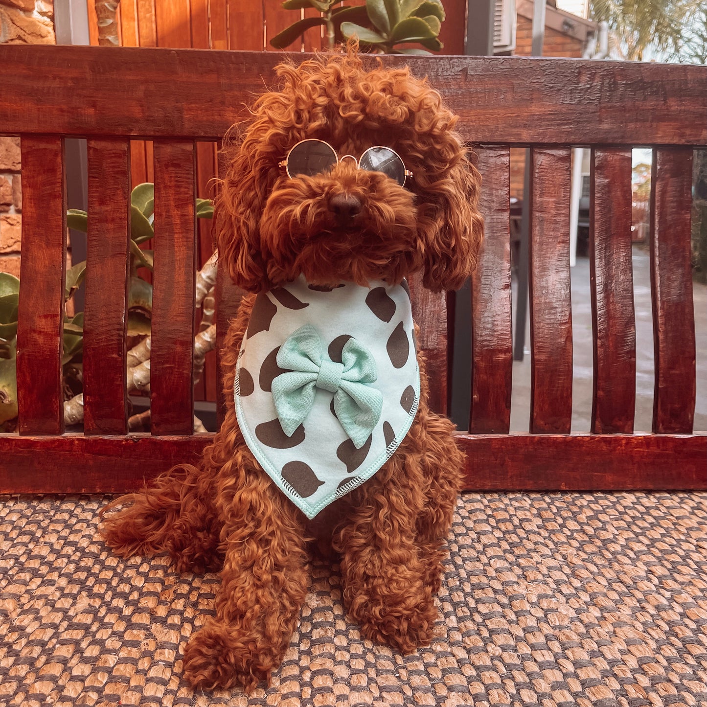 blue dog bandana with sailor bow