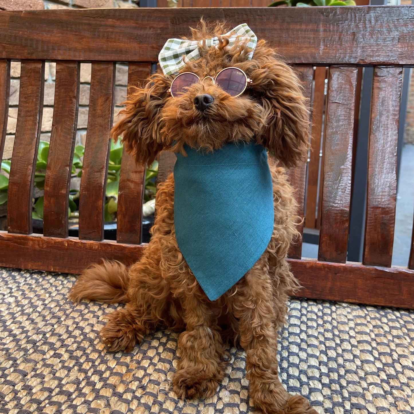 over the collar dog bandana