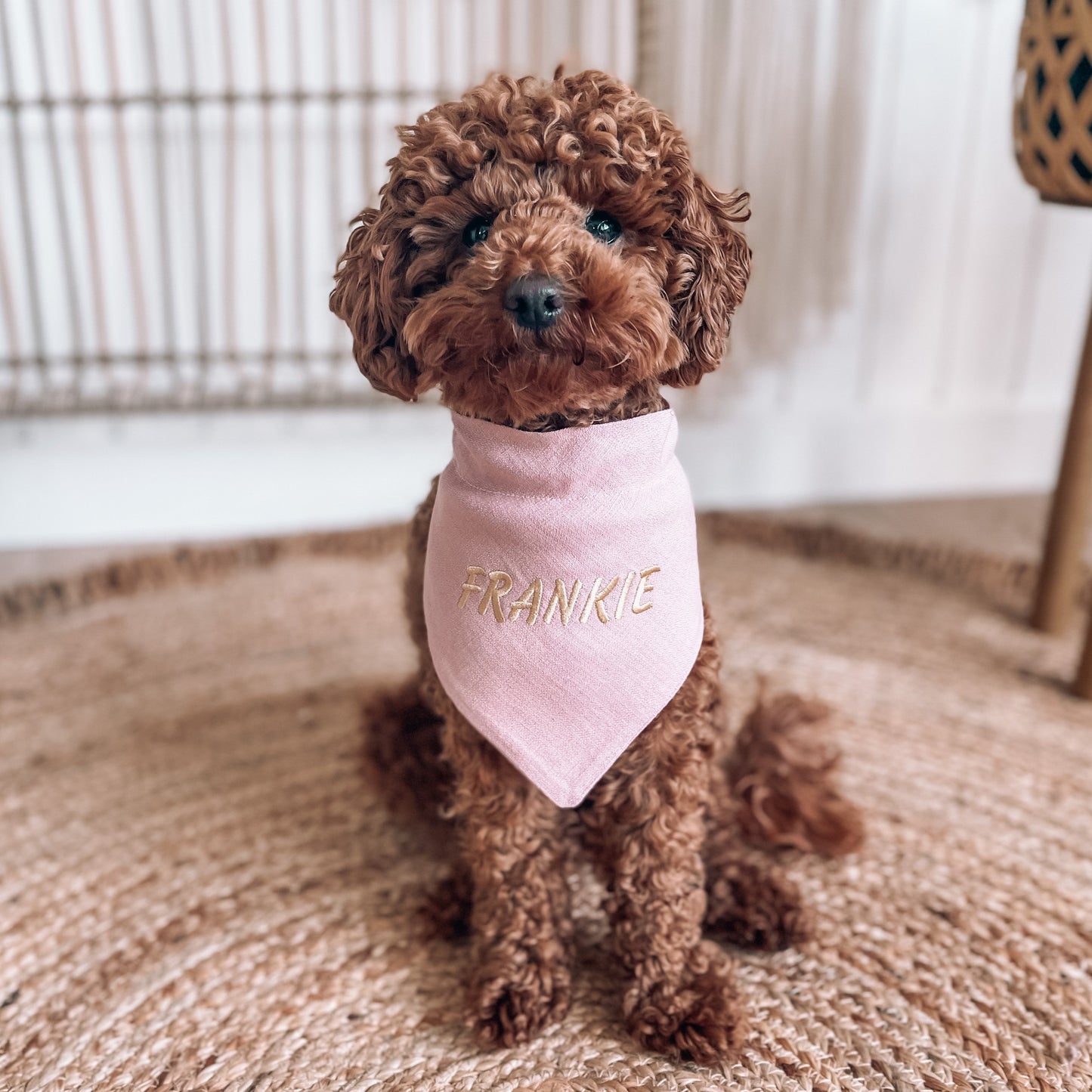 personalised dog bandana
