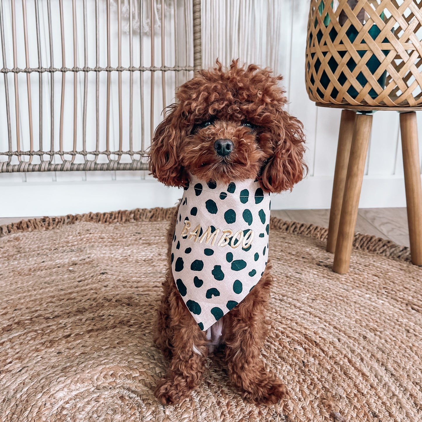 personalised leopard dog bandana