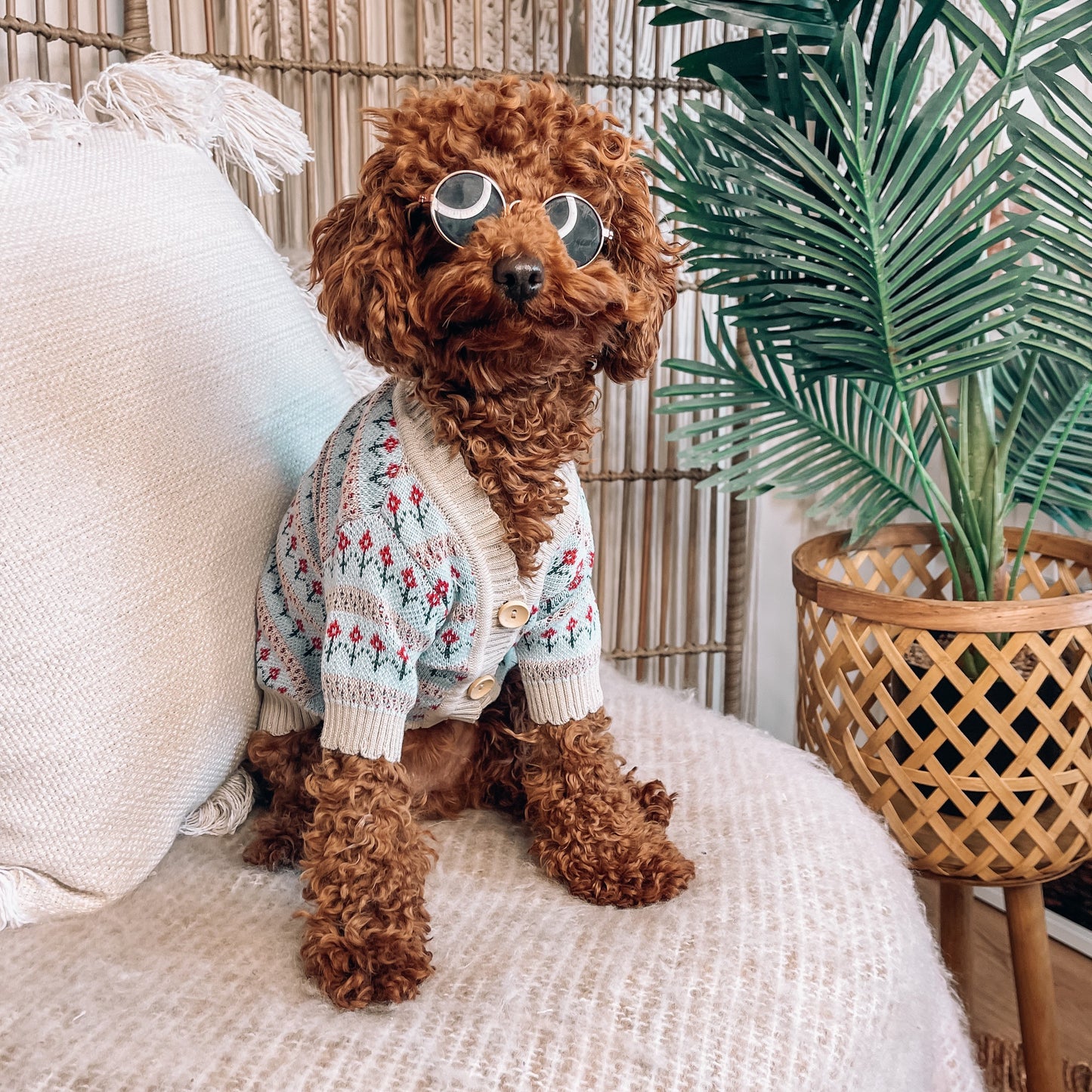 Mason Personalised Dog Cardigan