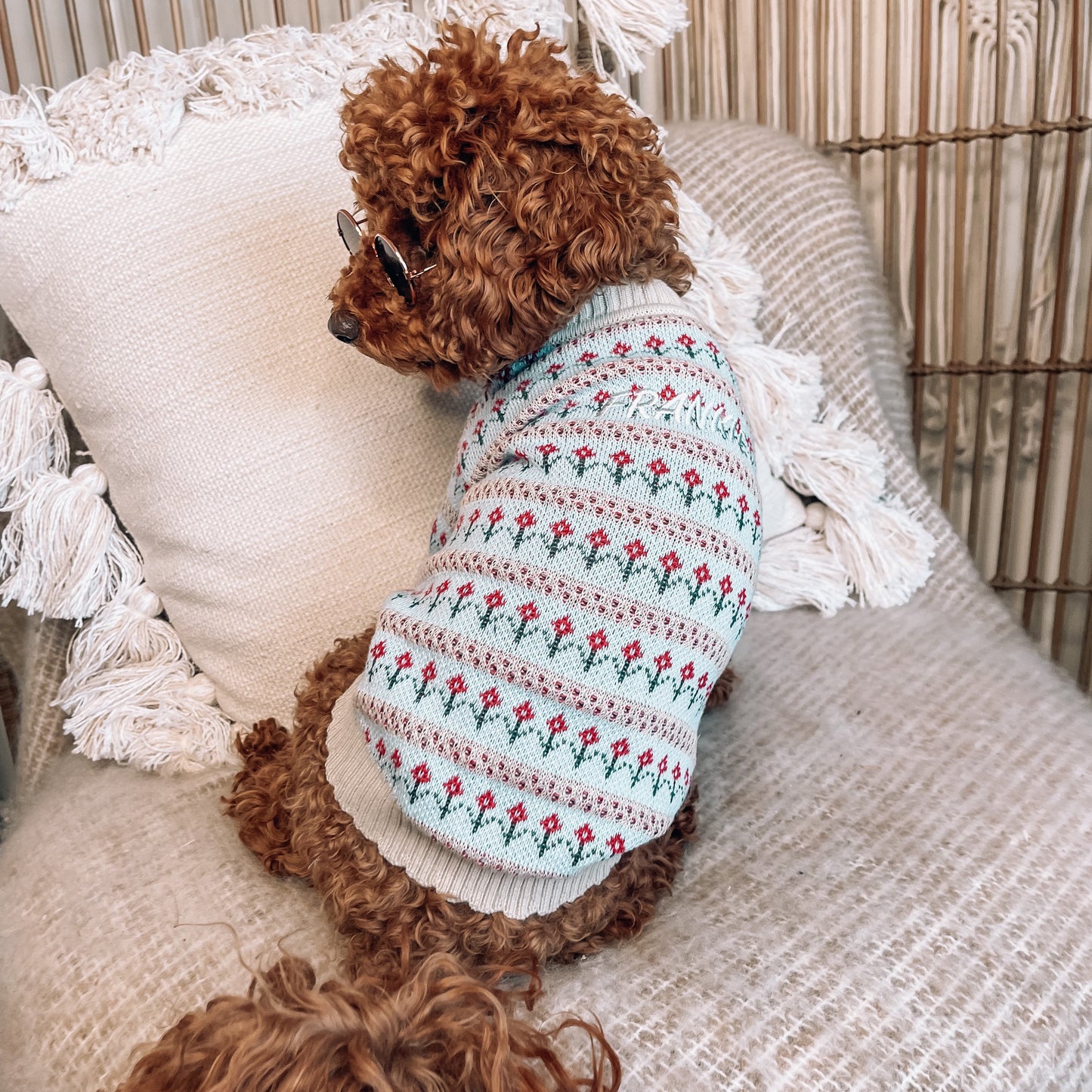 Mason Personalised Dog Cardigan