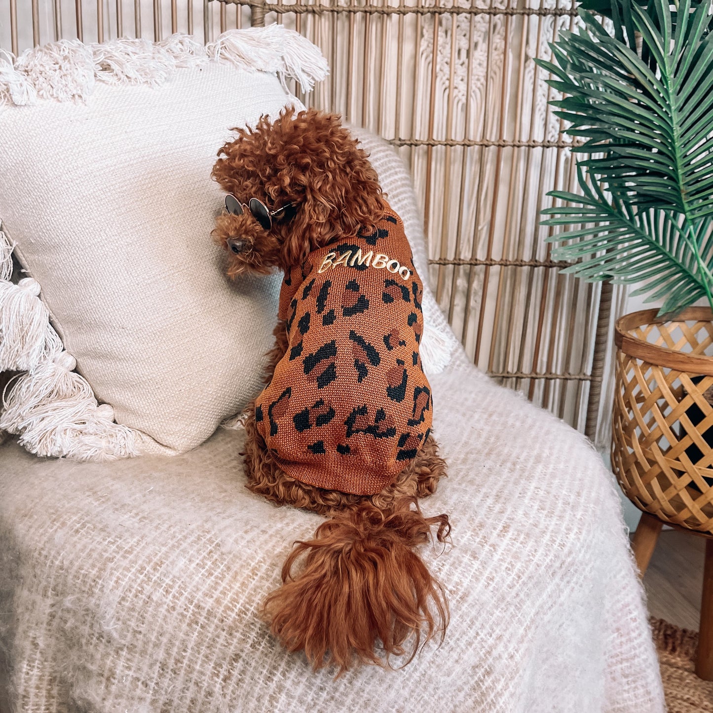 Dawson Personalised Dog Cardigan
