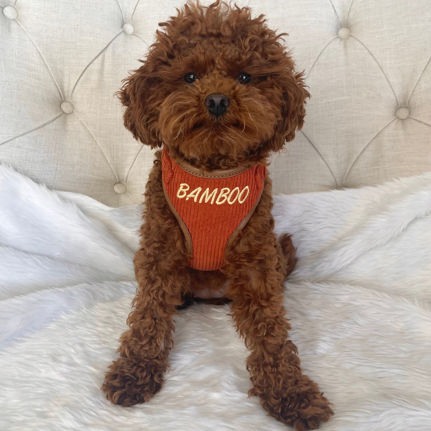 Hadley Rusty Orange Corduroy Luxury Harness with Leather Trim