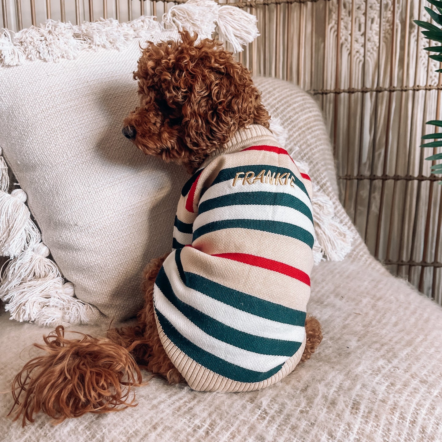 Harper Personalised Dog Cardigan