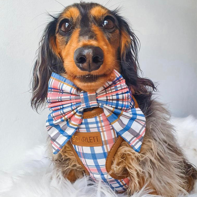 Azara Tartan Personalized Harness Set