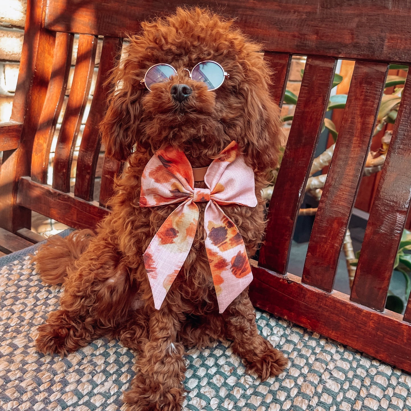 boho dog bow