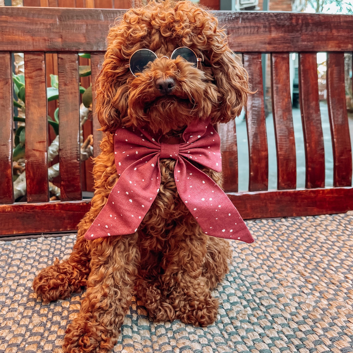 pink dog sailor bow
