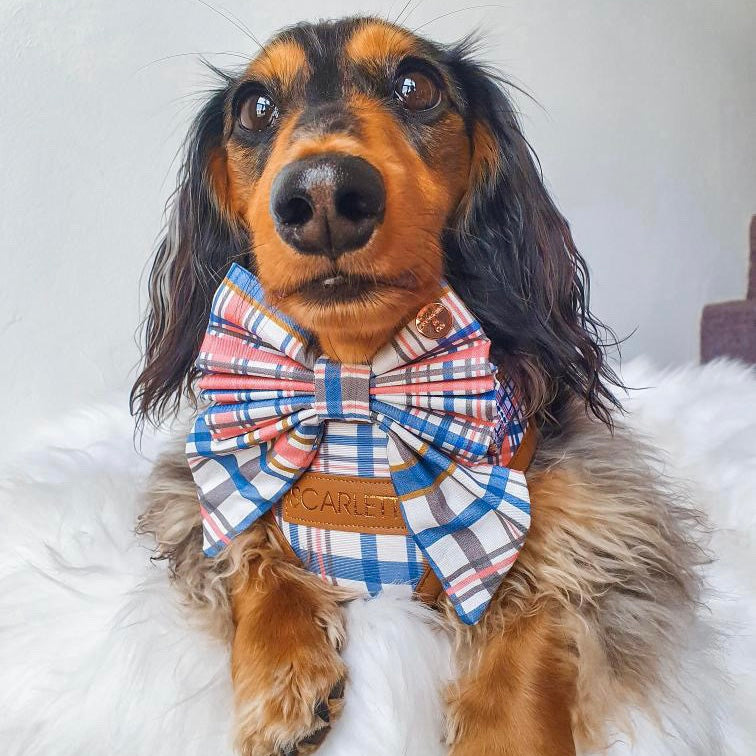 Azara Tartan Personalized Harness Set
