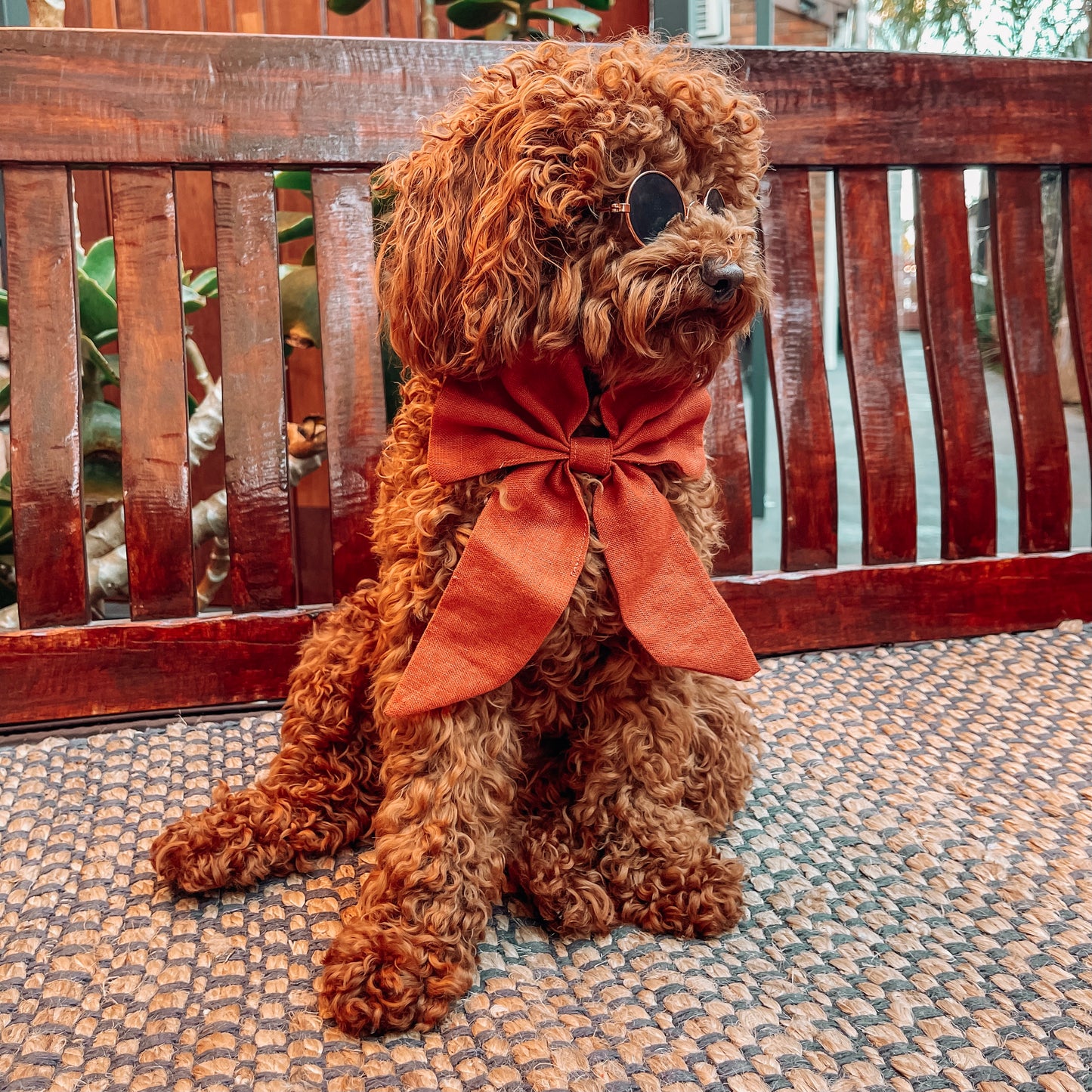 boho dog clothes bandana