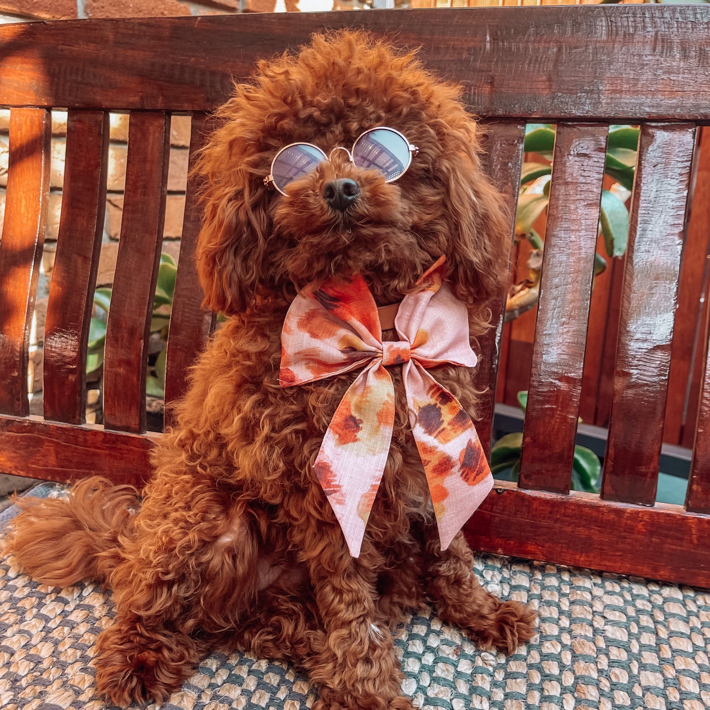 boho dog sailor bow '