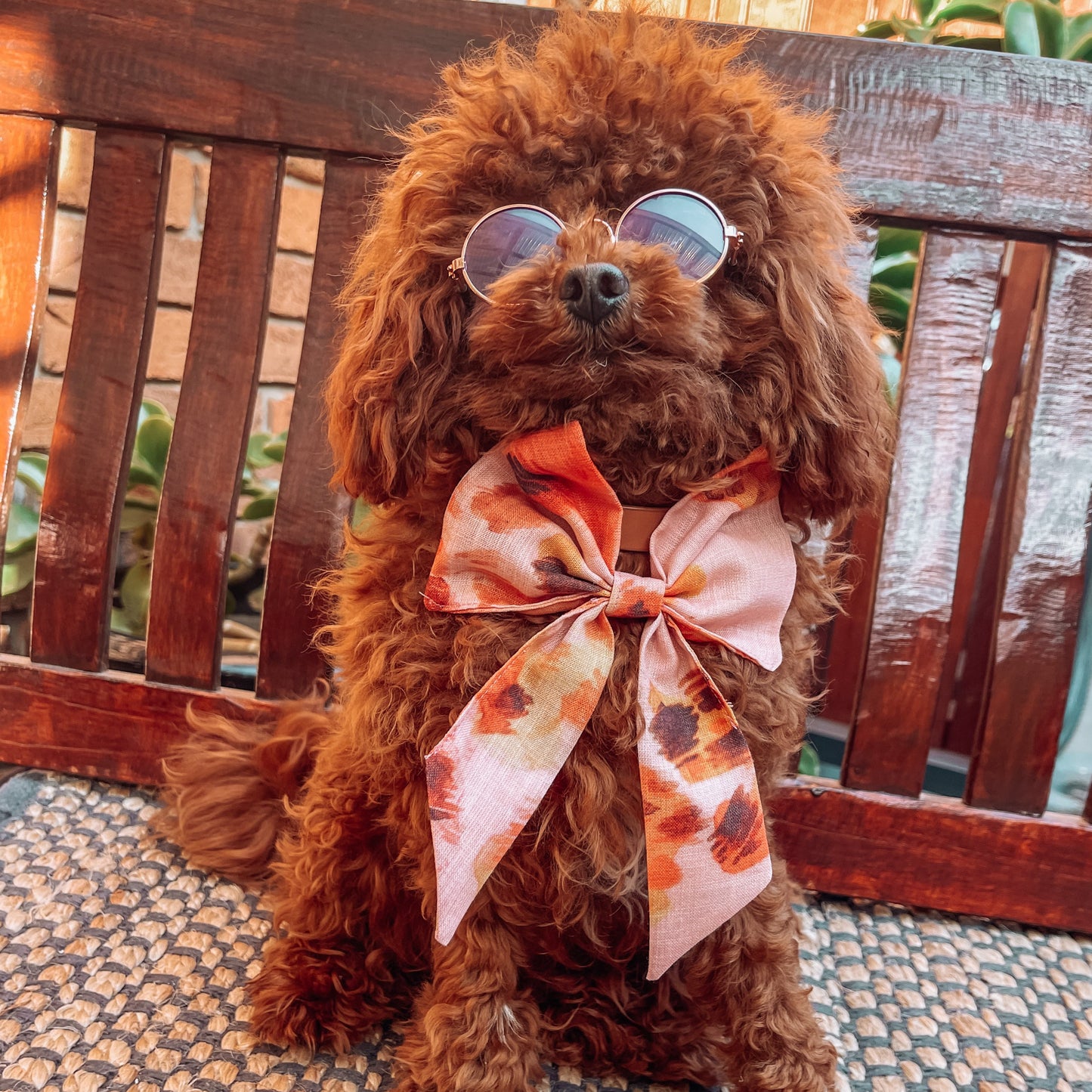 BOHO DOG SAILOR BOW