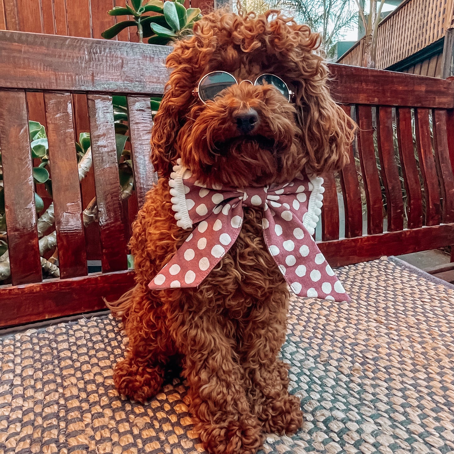 luxury dog sailor bow pink