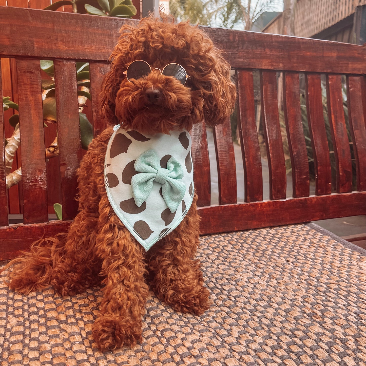blue dog bandana