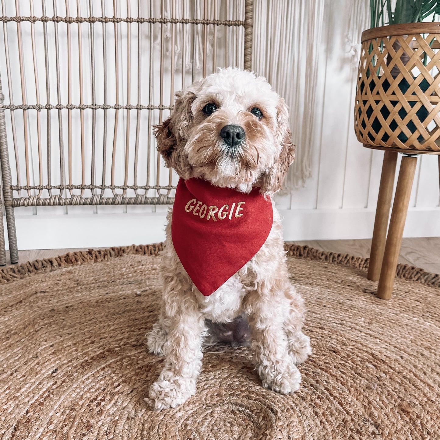 red over the collar dog bandana