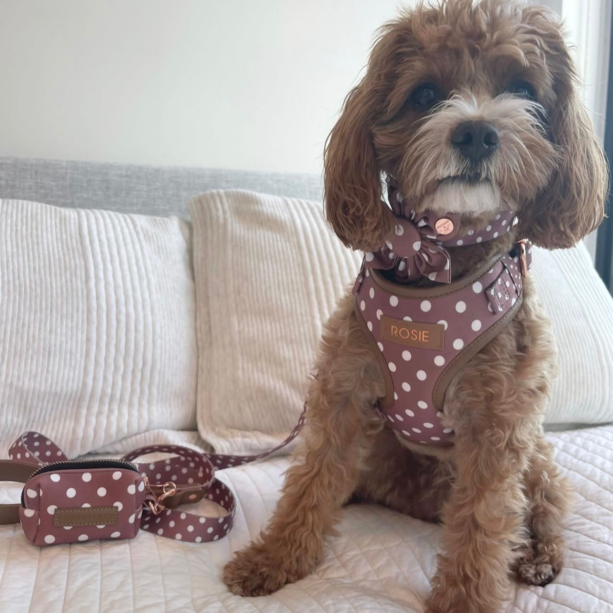 Brantley Polka Dot Personalized Harness Set