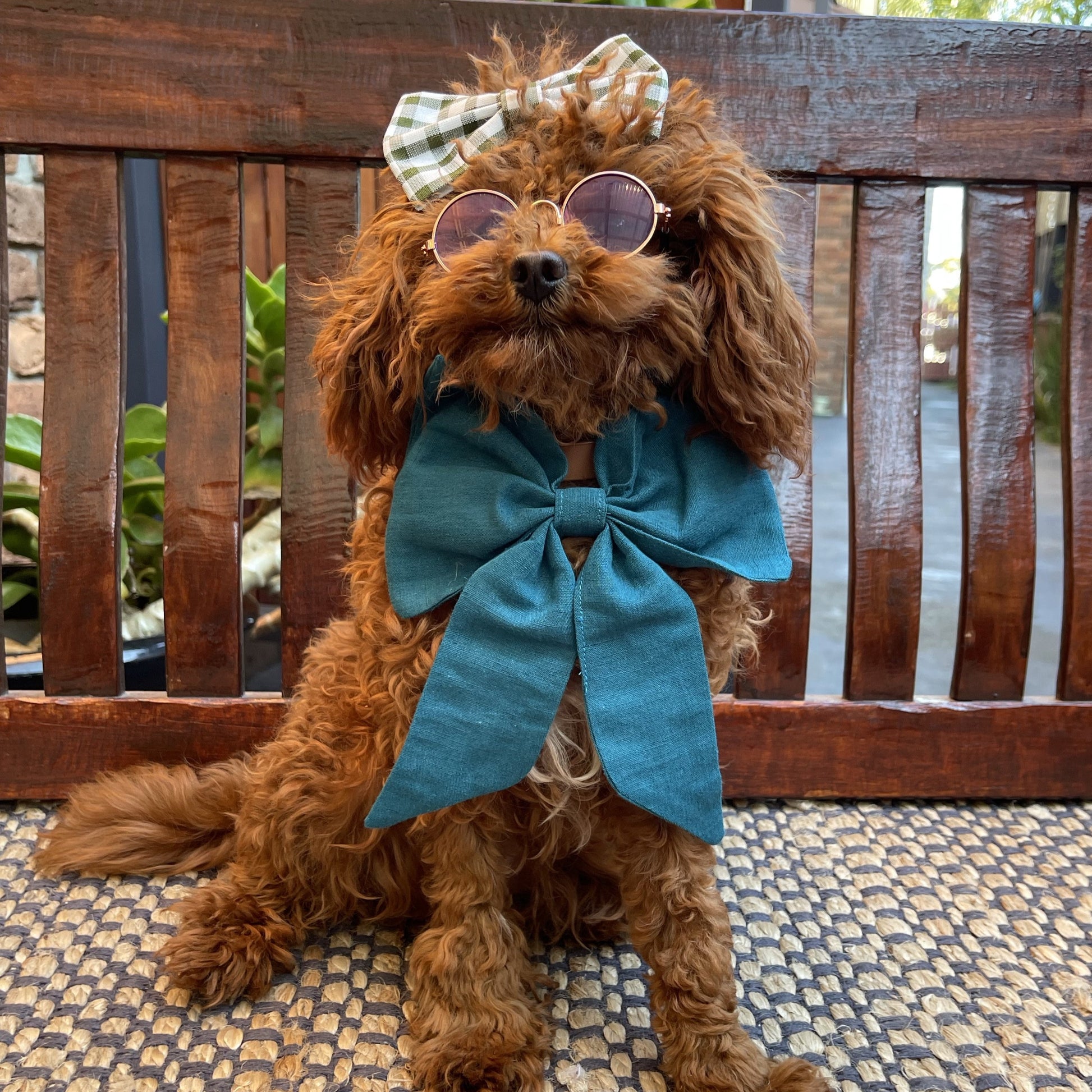 blue puppy bow tie