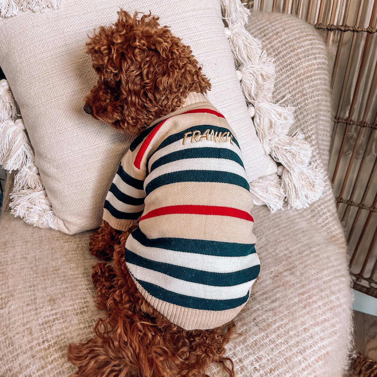 Harper Personalised Dog Cardigan
