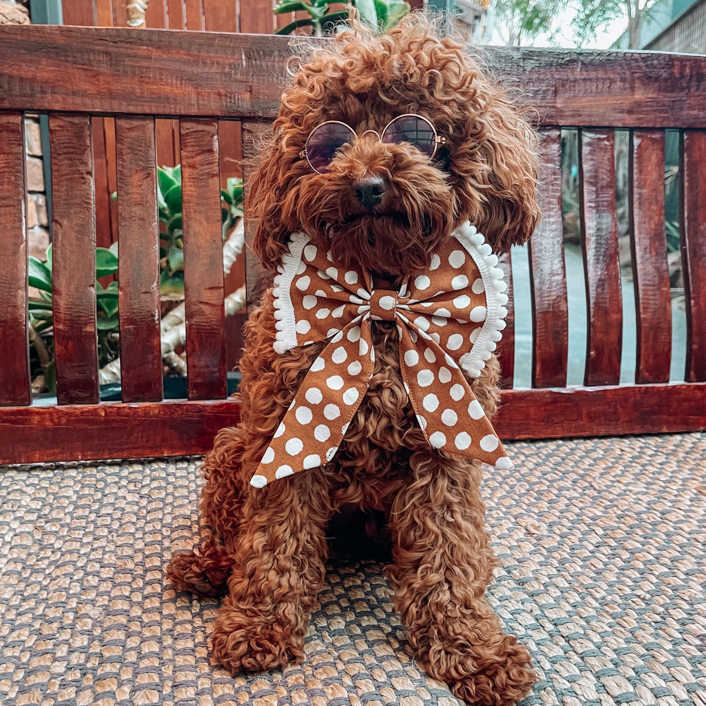 dog sailor bow tie