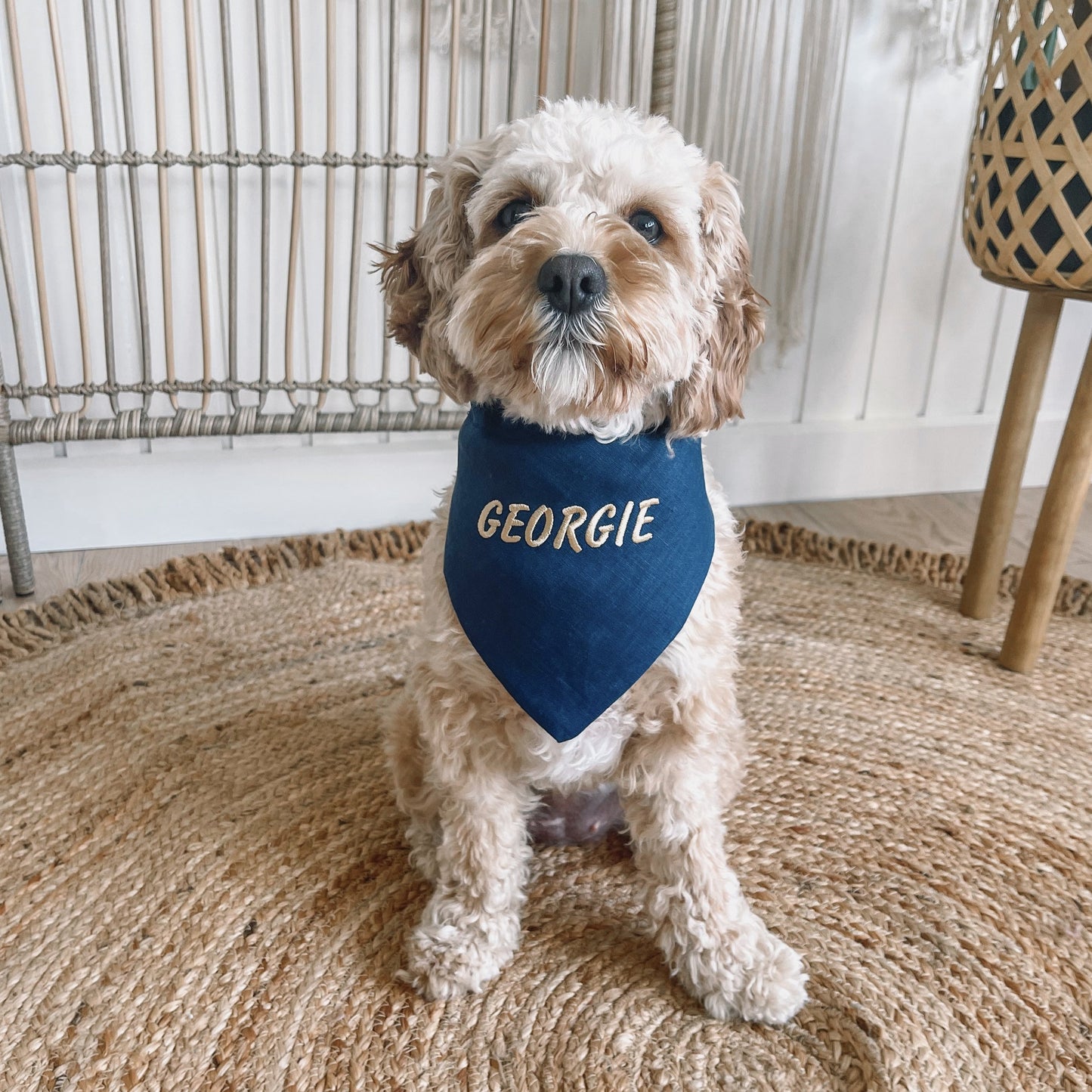 dog bandana blue