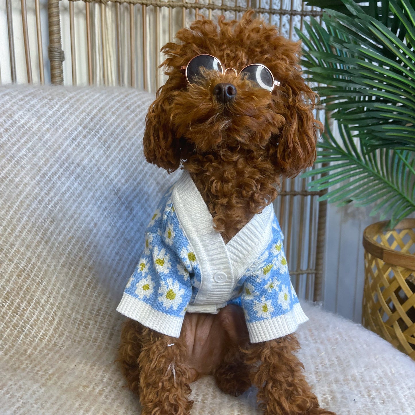 Lennox Personalised Dog Cardigan