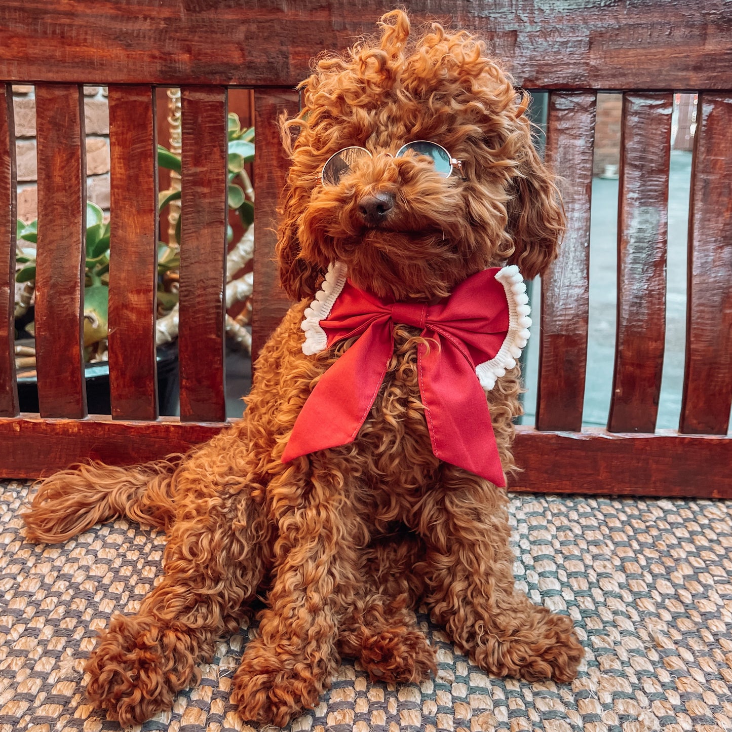 Imogen Bow with Trim