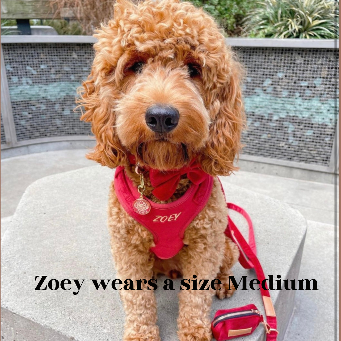 Addison Red Velvet Luxury Harness