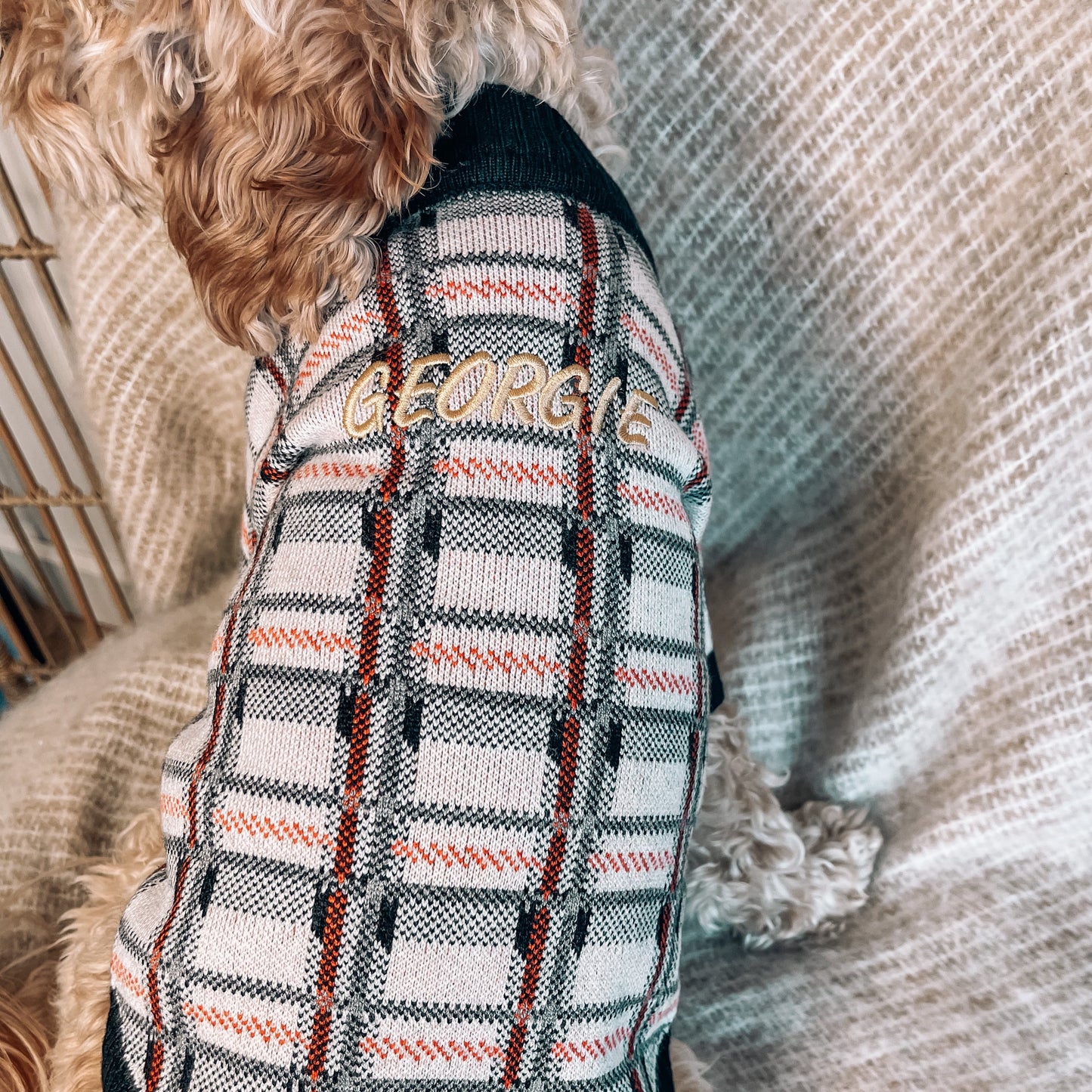 Bailey Personalised Dog Cardigan